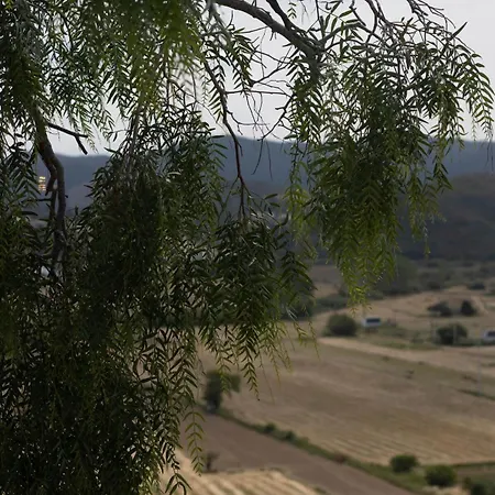 Apartment Casa Pimenta - Old Town Charm & Castle View