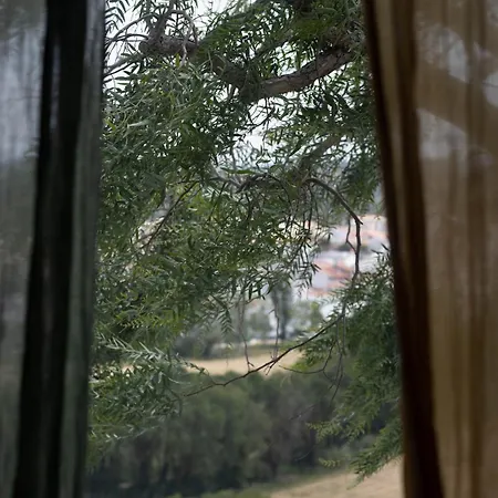 شقة Casa Pimenta - Old Town Charm & Castle View *